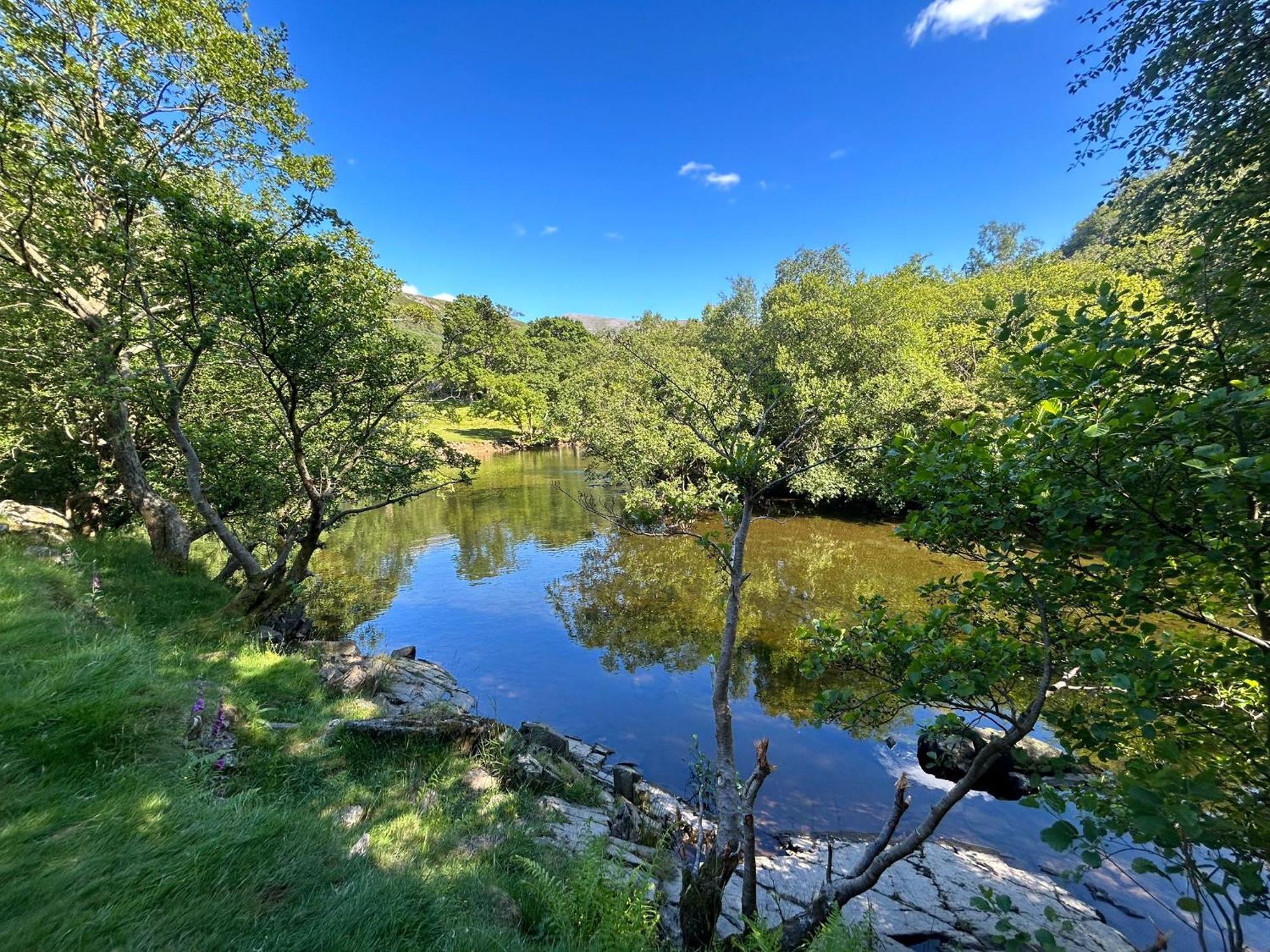 The Cottage - Snowdonia, North Wales بيثيسدا المظهر الخارجي الصورة
